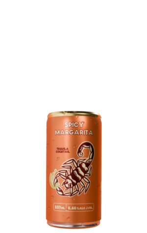 Barkeep Spicy Margarita 237ml